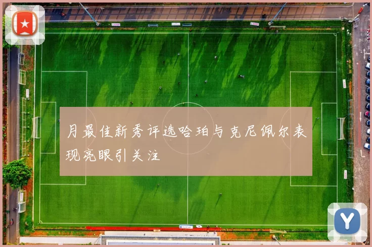 月最佳新秀评选哈珀与克尼佩尔表现亮眼引关注