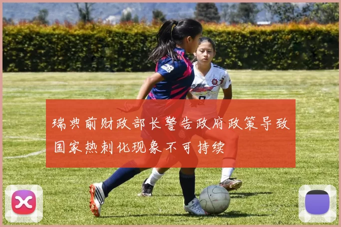 瑞典前财政部长警告政府政策导致国家热刺化现象不可持续