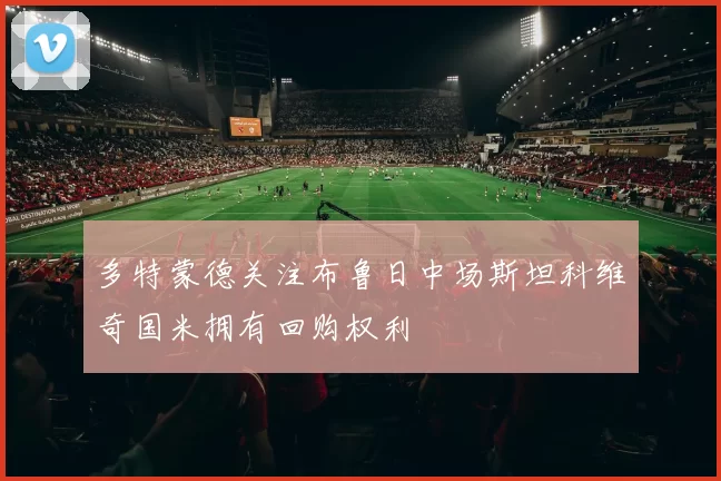 多特蒙德关注布鲁日中场斯坦科维奇国米拥有回购权利